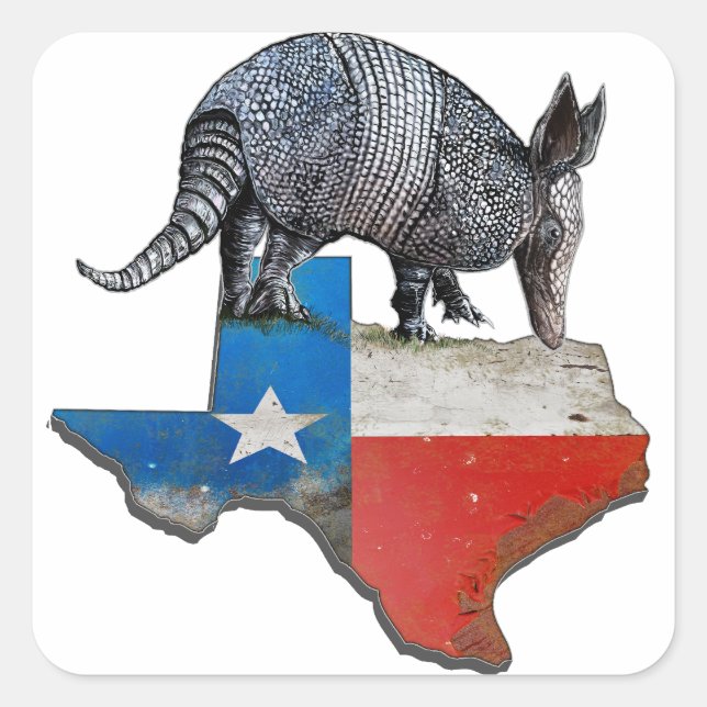 Texas Armadillo Fyrkantigt Klistermärke (Framsida)
