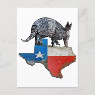 Texas Armadillo Vykort