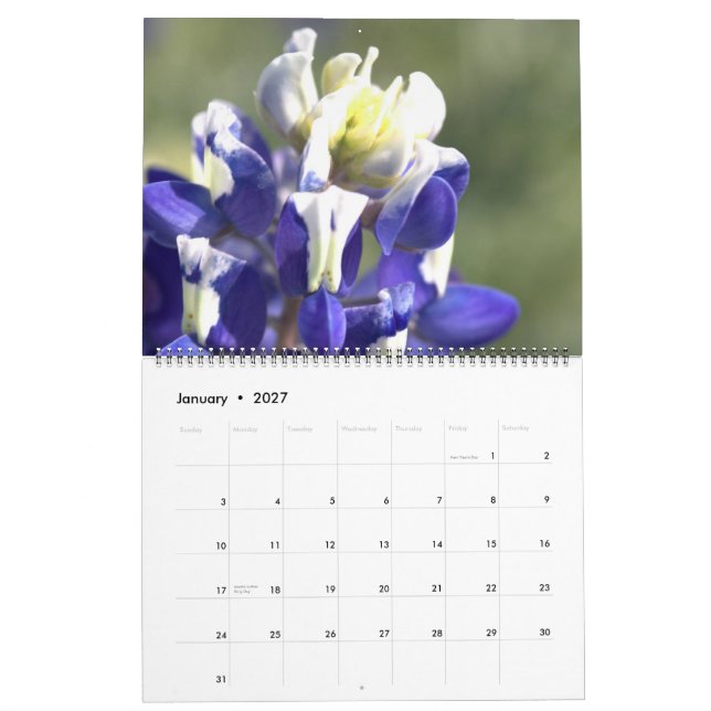 Texas Beauties: Skapa ditt eget bläckfisknät Kalender (Jan 2027)