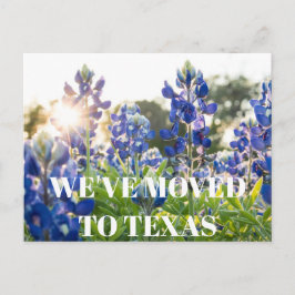 Texas blå blåskål Blomma Vildblomma Blå Blommig Vykort