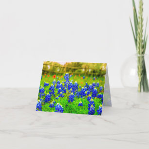 Texas Blåbonnets Blommigt Note Card Anteckningskort