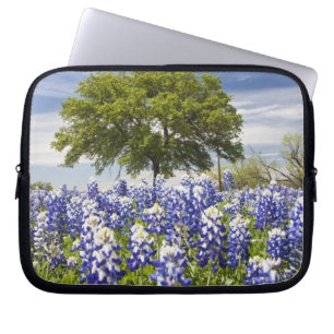 Texas blåbonor(Lupinus texensis) och ek Laptop Fodral