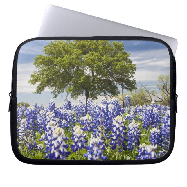 Texas blåbonor(Lupinus texensis) och ek Laptop Fodral (Framsidan)