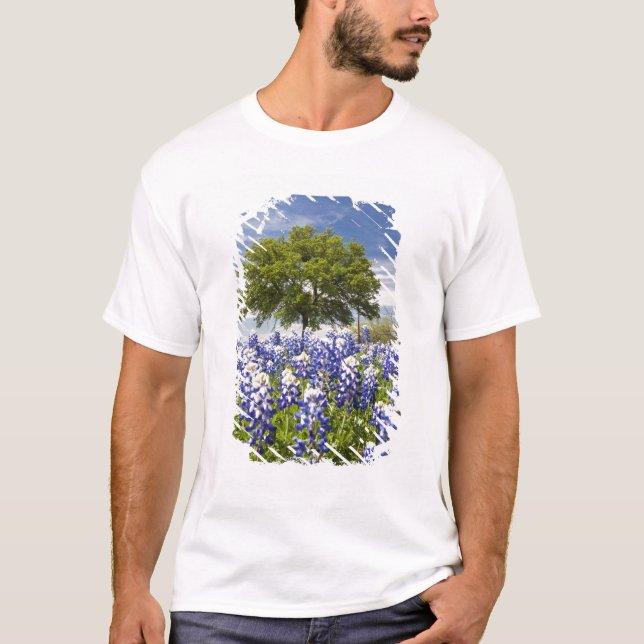 Texas blåbonor(Lupinus texensis) och ek Tee (Framsida)