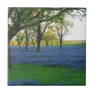 Texas blåtthättor kakelplatta