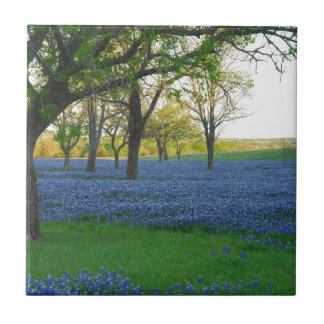 Texas blåtthättor kakelplatta