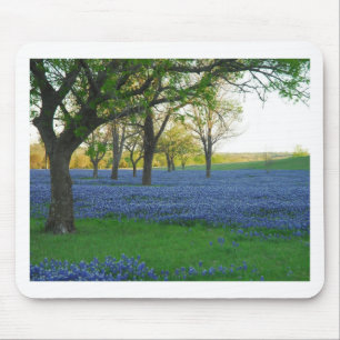 Texas blåtthättor musmatta