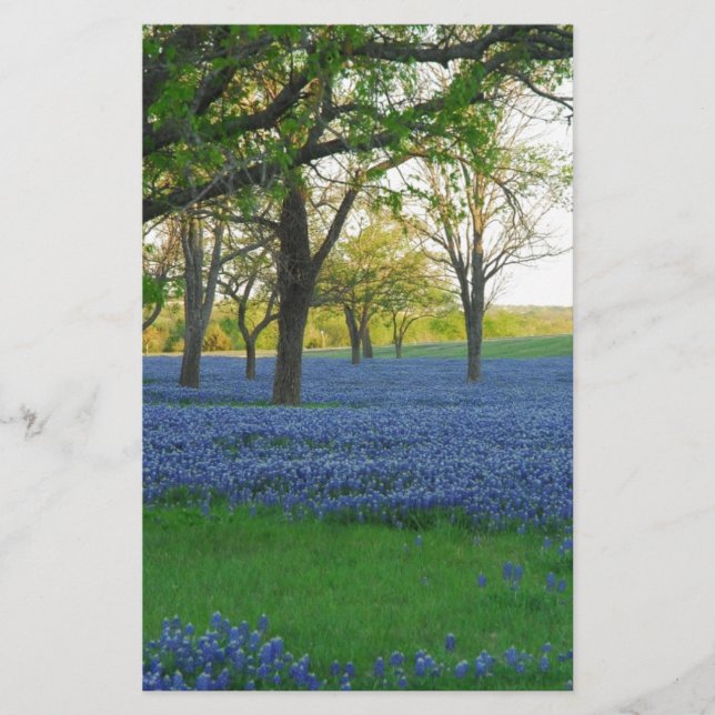 Texas Blue Bonnets (Framsida)
