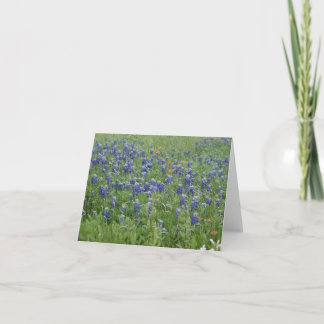 Texas Blue Bonnets Note Cards Kort