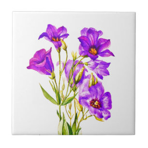 Texas Bluebells Evana Russellianum Watercolor Kakelplatta