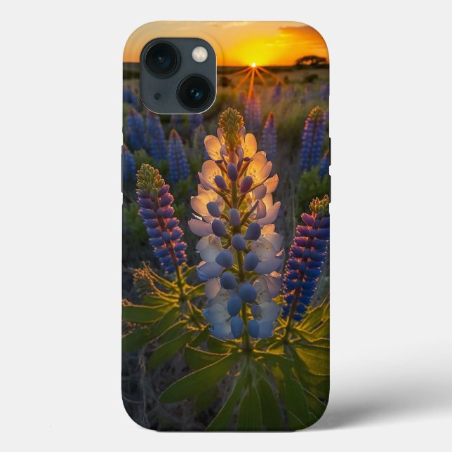 Texas Bluebonnet (Baksida)
