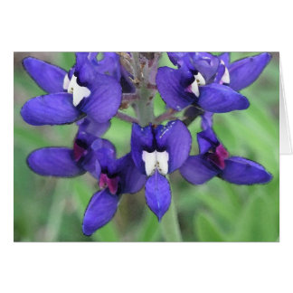 Texas Bluebonnet #1 Hälsningskort