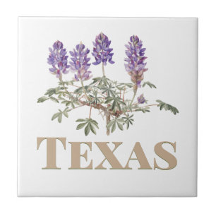 Texas Bluebonnet 2 Kakelplatta