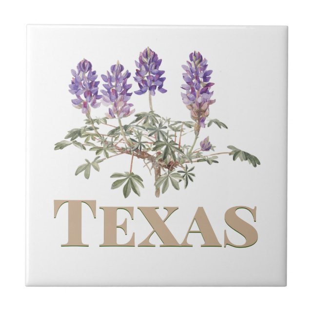 Texas Bluebonnet 2 Kakelplatta (Framsidan)