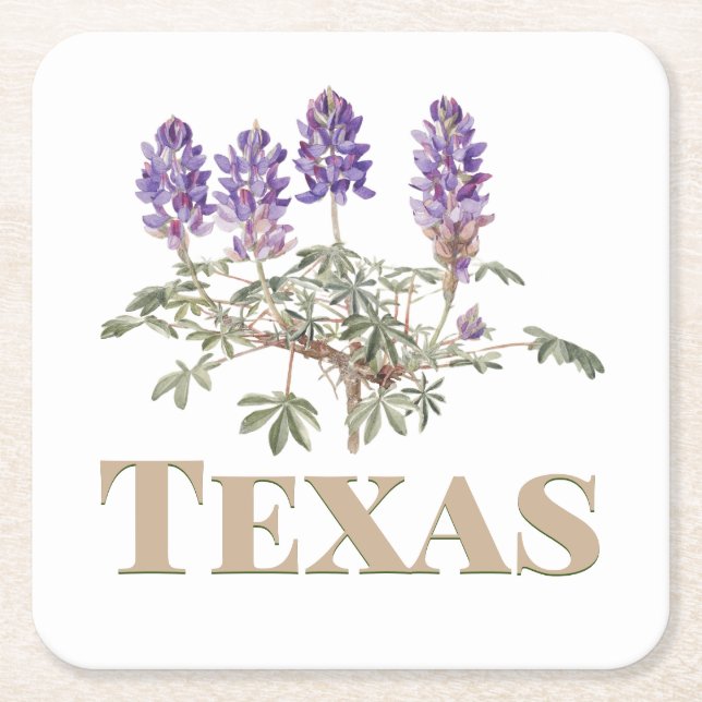 Texas Bluebonnet 2 Underlägg Papper Kvadrat (Framsidan)