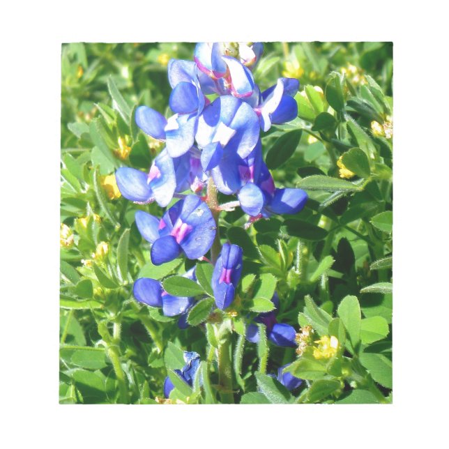 TEXAS BlueBonnet Anteckningsblock (Framsida)
