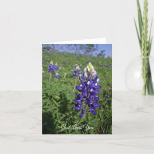 Texas Bluebonnet Christian John 3:16 Blank Inside Kort