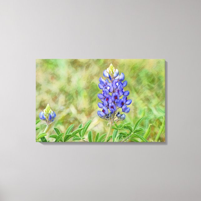 Texas Bluebonnet Flower Art Close Up Canvastryck (Framsida)
