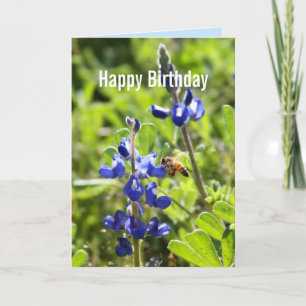 Texas Bluebonnet Grattis på födelsedagen Kort