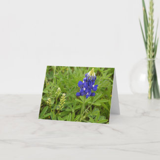 Texas Bluebonnet Kort
