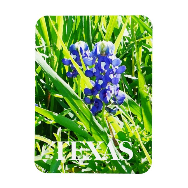 Texas Bluebonnet Magnet (Vertikal)
