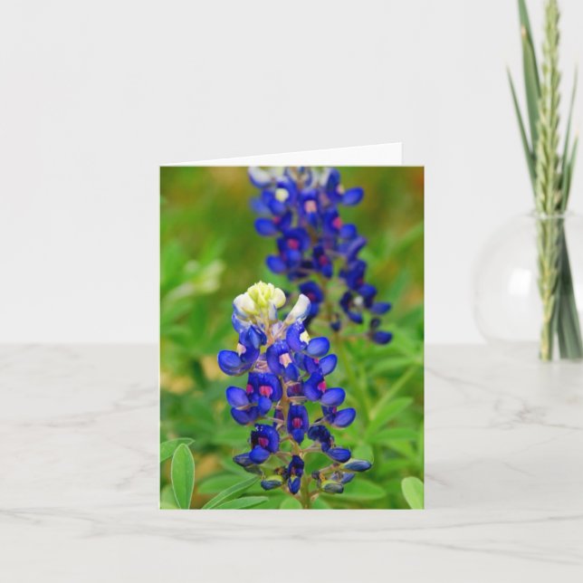 Texas Bluebonnet noterar kortet Kort (Framsida)