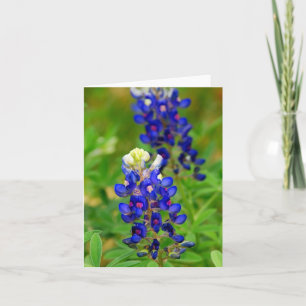 Texas Bluebonnet noterar kortet Kort