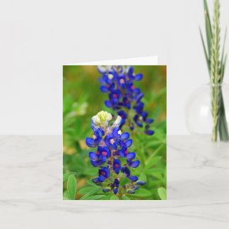 Texas Bluebonnet noterar kortet Kort