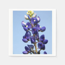Texas Bluebonnet Papper Napkins