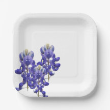 Texas Bluebonnet Papper Plate