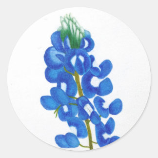 Texas Bluebonnet Sticker Runt Klistermärke