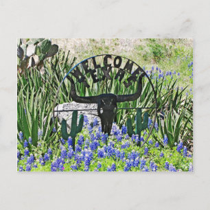 Texas Bluebonnet Välkommen Vykort