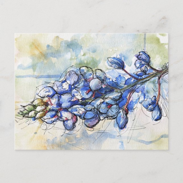 Texas Bluebonnet Watercolor Flower Vykort (Framsida)