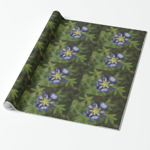 Texas Bluebonnet Wrapping Papper Presentpapper