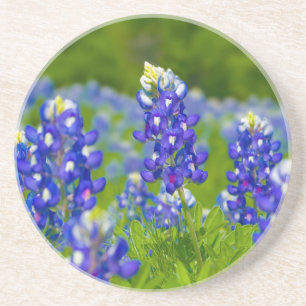 Texas Bluebonnetkustfartyg Underlägg