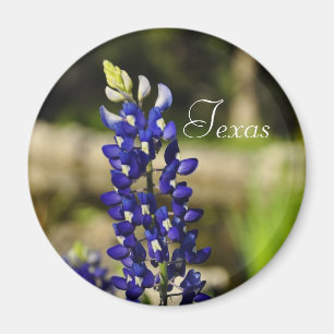 Texas Bluebonnetmagnet Magnet