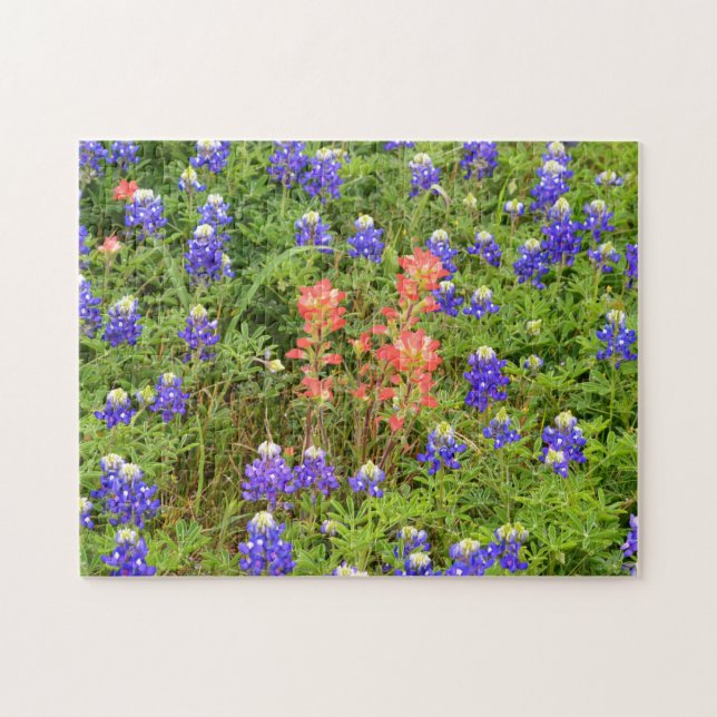 Texas Bluebonnets and Indian Paintbrush Flower Pussel (Horisontell)
