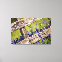 Texas Bluebonnets Around A Land Fence