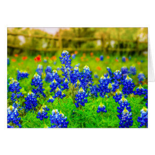 Texas Bluebonnets Blommigt Hälsningskort