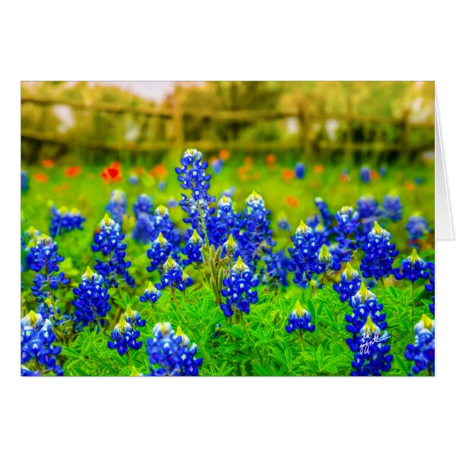 Texas Bluebonnets Blommigt Hälsningskort (Framsidan Horizontal)