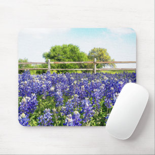 Texas Bluebonnets by Land Fence Art Musmatta