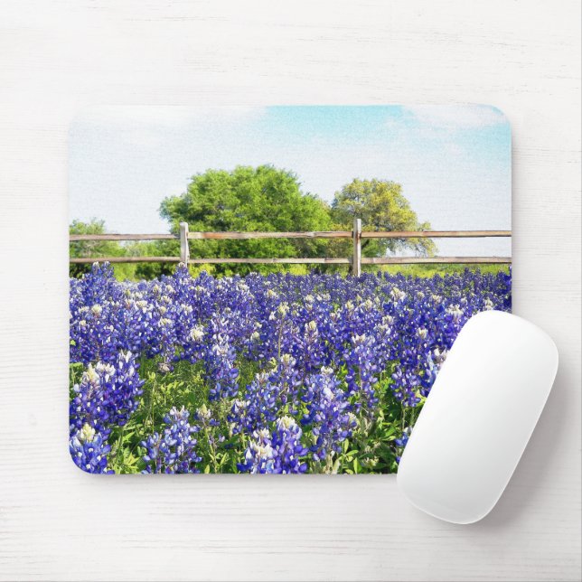 Texas Bluebonnets by Land Fence Art Musmatta (Med mus)
