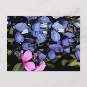 Texas Bluebonnets Closeup Vykort