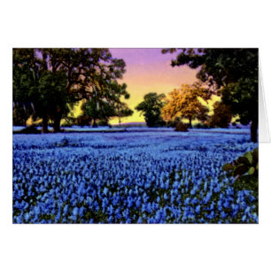 Texas Bluebonnets Covering a Fält vid Sunset Hälsningskort
