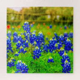 Texas Bluebonnets Indian Blommigt Nature Travel Pussel