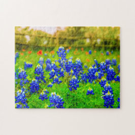 Texas Bluebonnets Indian Blommigt Nature Travel Pussel