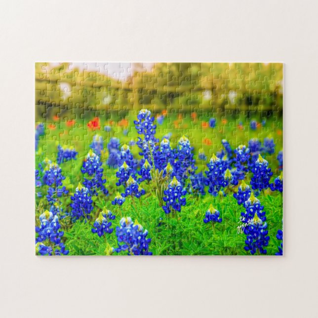 Texas Bluebonnets Indian Blommigt Nature Travel Pussel (Horisontell)