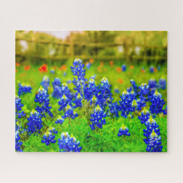 Texas Bluebonnets Indian Paintbrush Blommigt Pussel