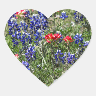 Texas Bluebonnets & Indian Paintbrush Wildblommor Hjärtformat Klistermärke