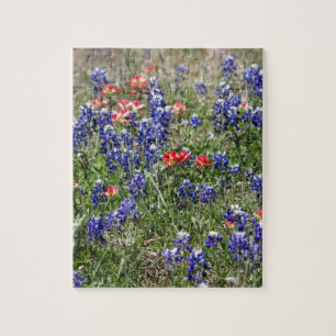 Texas Bluebonnets & indiska Paintbrushvildblommar Pussel